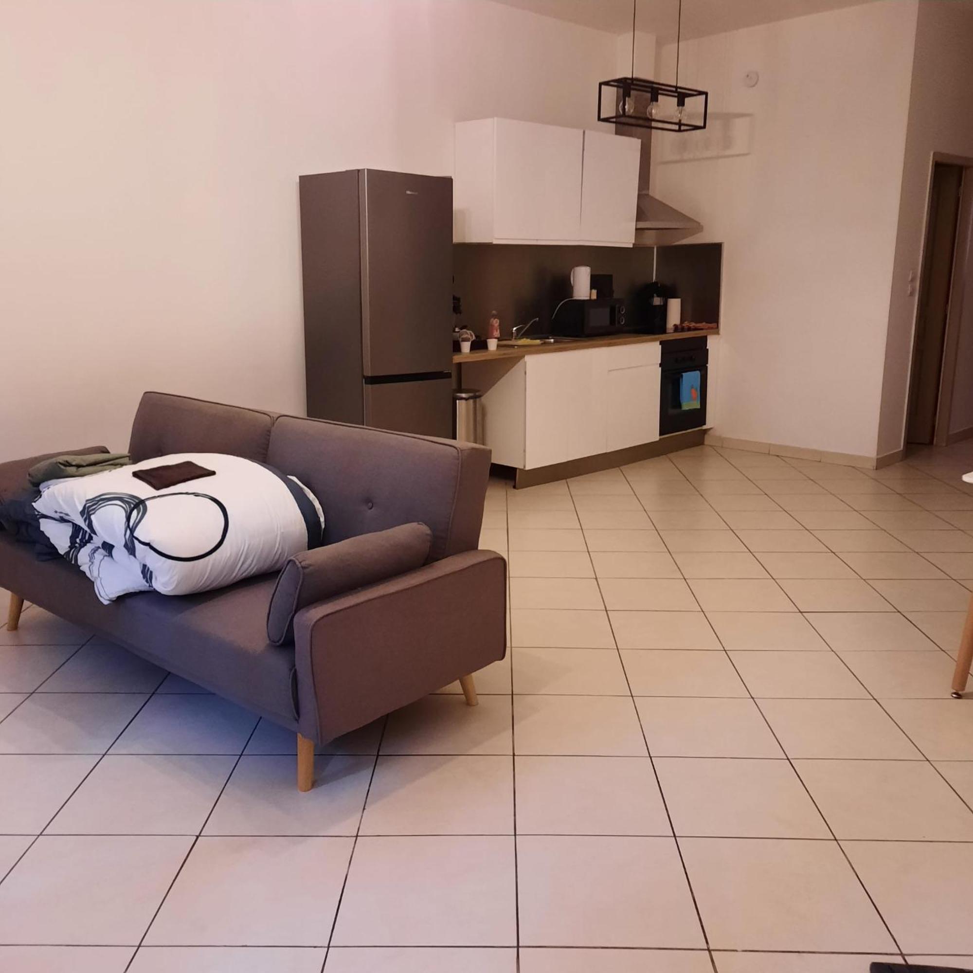 Le Albert 1Er Beziers Appartements Tout Equipes Luaran gambar